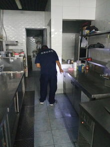 專業高效，安心無憂 西城遠洋風景小區家庭上門滅蟑螂服務詳解